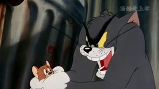 Koleksi tawa Tom