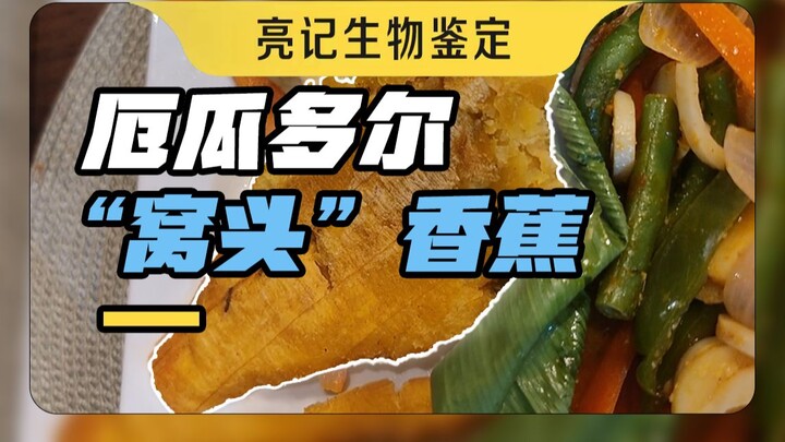 厄瓜多尔的棒子面味香蕉、箭毒蛙和腿毛热植
