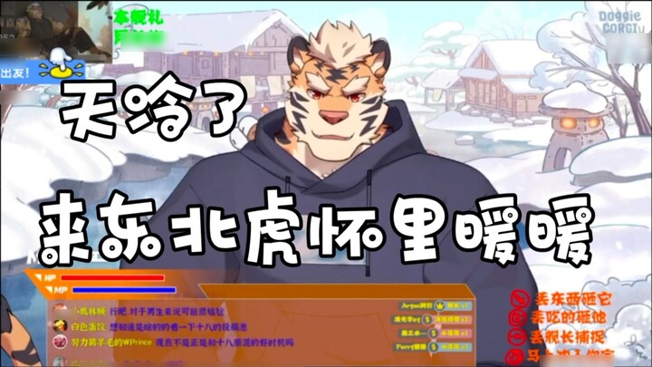 เริ่มหนาวแล้ว มาอบอุ่นในอ้อมแขนเสือไซบีเรียกันเถอะ