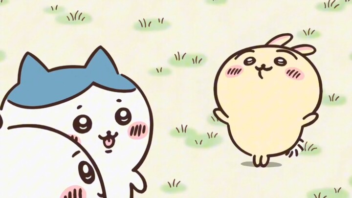 Usachi’s self-introduction