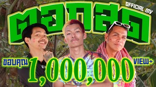 ตอกสด - บ่าวอาม [OFFICIAL MV]
