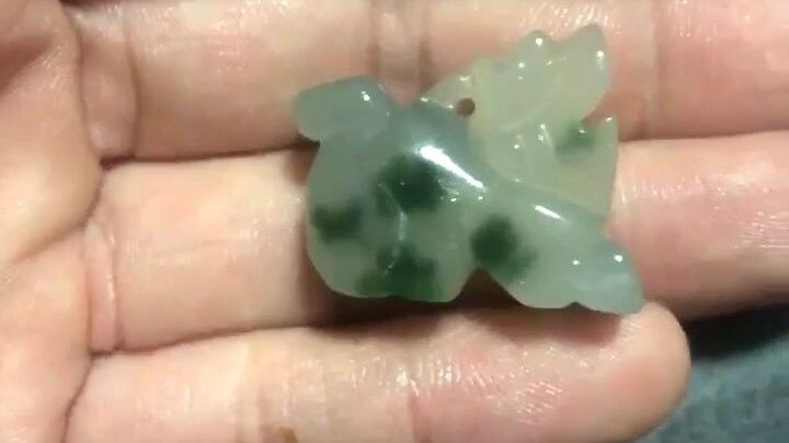 Con tạc này là thứ quái gì vậy?