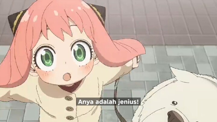 Anya forger is back di season 3. nantikan review anime nya ya