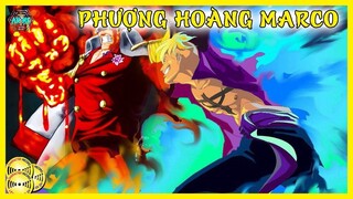 Phượng Hoàng Marco & Sức Mạnh Thực Sự Của Thanh Hỏa Phượng Hoàng Là Gì?