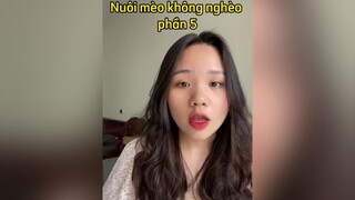 Lược chải lông 1 lần cho mèo 🤣🤣🤣 mèo cat mẹohay learnontiktok