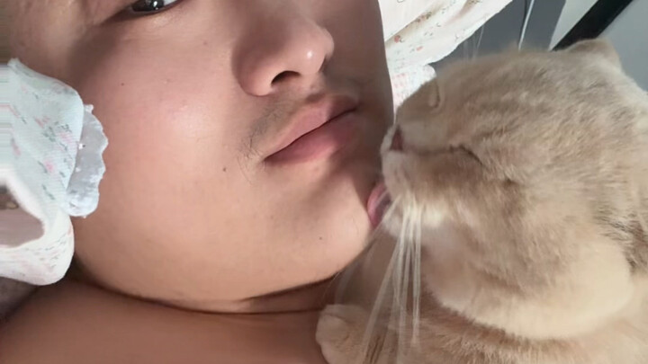 Apakah kamu kucing kecil yang manis milik ayah?