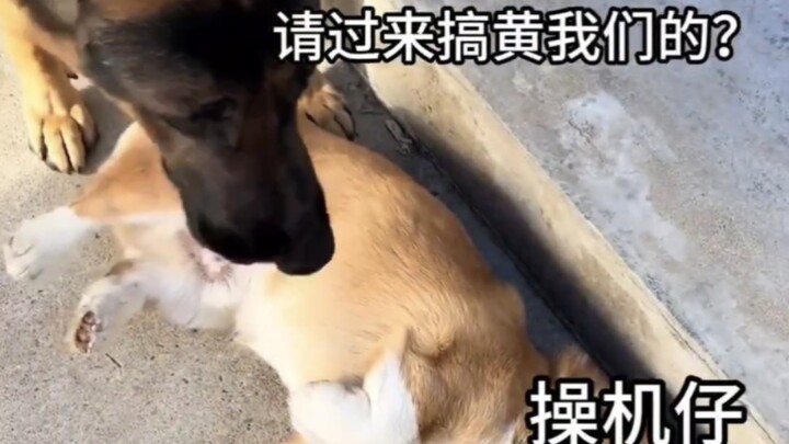 When the CNC operator crashes the machine, this is how my coworkers react 😂