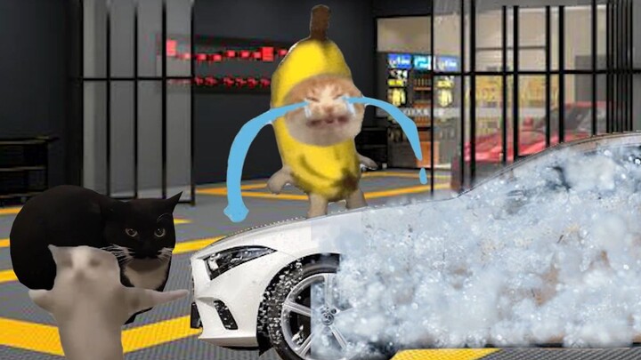 Cat went to wash the car today, Banana Cat uses high-pressure tear glands!
