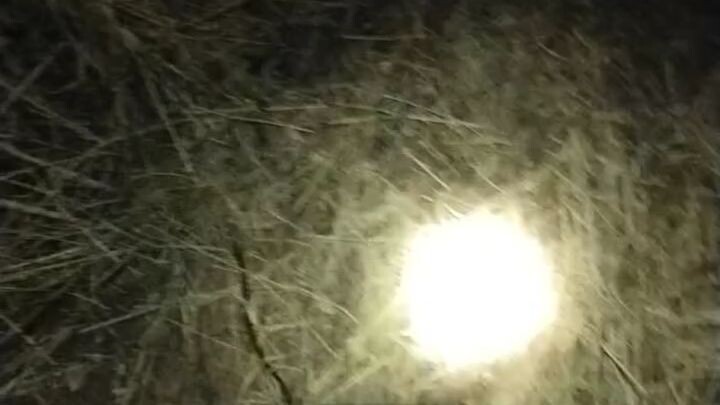 ระบบนิเวศเทียมฟาร์มฝั่งฝัน69 ตอนที่ 5 อากาศหนาวกำลังดี ไส้เดือนออกมาให้จับเต็มเลย