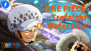 ONE PIECE  
Trafalgar D. Water Law_1