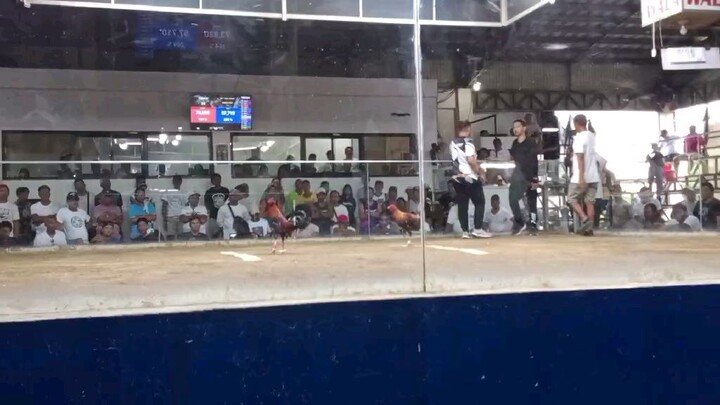 MBC ELIMS EB EDITION JUL. 18 2ND FIGHT