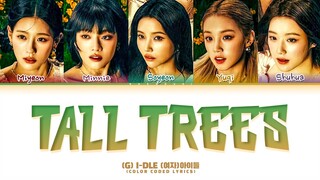 (G) IDLE Tall Trees Lyrics (Color Coded Lyrics)