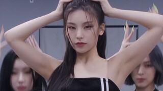 【黄礼志练习室】Cheshire 黄礼志focus