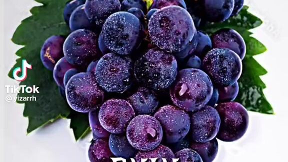 エピソード 5|リアルワイン アニメ