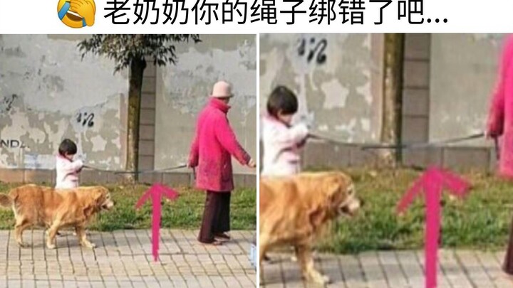 Bà ơi, dây của bà buộc nhầm rồi kìa!๑乛◡乛๑ Những bức ảnh hài hước, lầy lội nổi tiếng trên mạng (｀・ω・´