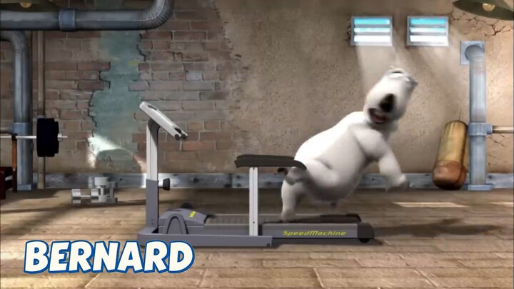 BERNARD BEAR || THE GYM 2 - CARTOON CHILDREN