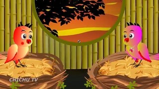 Rano Chidiya Wala Cartoon _ कार्टून चिड़िया _ NewTuni Achi Cartoon _ Hindi Kahan