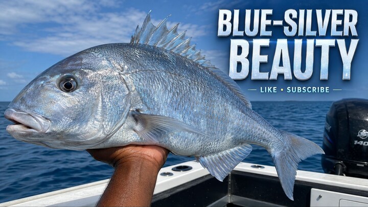Blue Silver