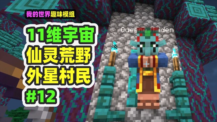 我的世界：11维宇宙12，照亮仙灵荒野，发现外星村民