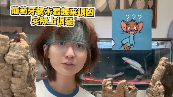 เจอตัวอย่างไลเคนที่ซ่อนไว้นานมากที่บ้าน…