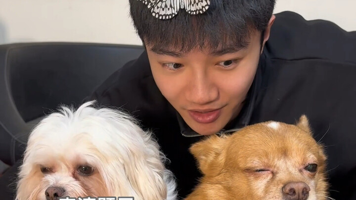 Performance: “Witnessing My Lover Cheating” — Who’s the Better Actor: Honey or Juan Juan?