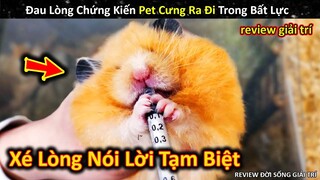 Đau Xé Lòng Khi Chứng Kiến Pet Ra Đi Nhưng Bản Thân Đành Bất Lực || Review Giải Trí Đời Sống