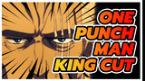 [One Punch Man tổng hợp cut] Anh hùng mạnh nhất - King