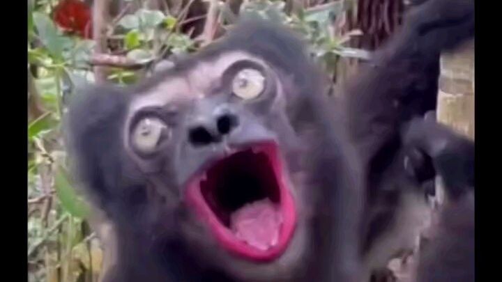 hayy nako naman no,,, 😆 😂