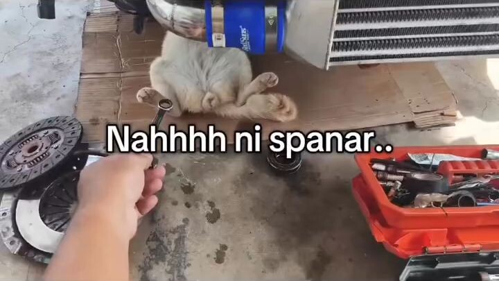 🤣