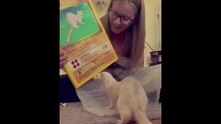 เลิกเหอะเช็คอินร้านเหล้า มาเช็คอินบ้านเราดีกว่า