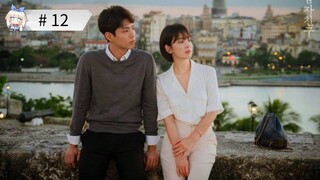 Encounter EP 12 || HINDI DUBBED ||