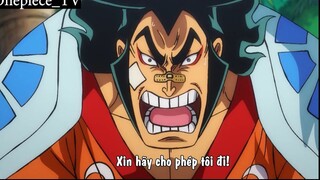 Oden đi theo Roger #Onepiece