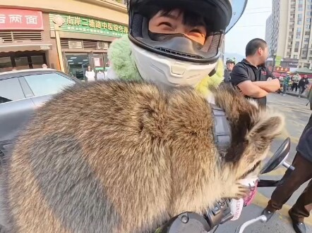 Người Tứ Xuyên-Triết Giang trò chuyện