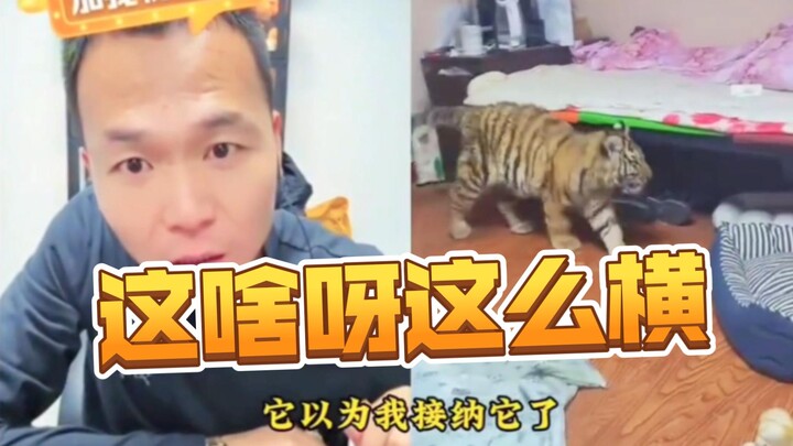 What is this? What on earth is this???