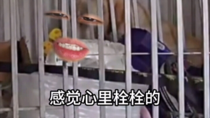 《妈妈酱，瓦达西好像塌房了》