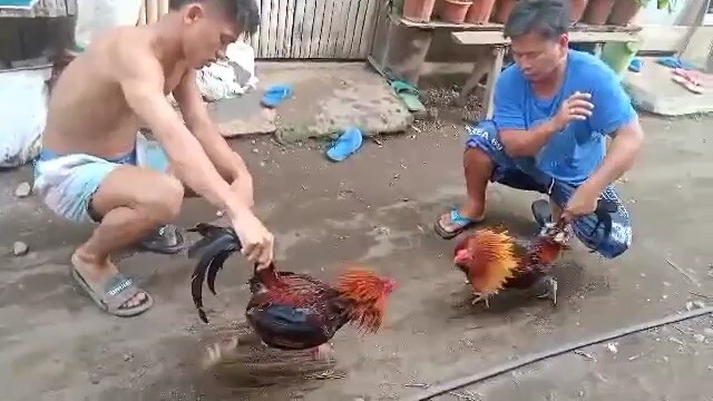 Sparring 1