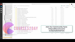 Tina Lee - Full-Time Influencer Download