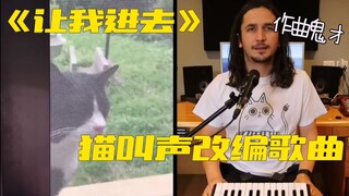 邻居的猫总在窗外叫？南非音乐鬼才：没关系， 我会出手