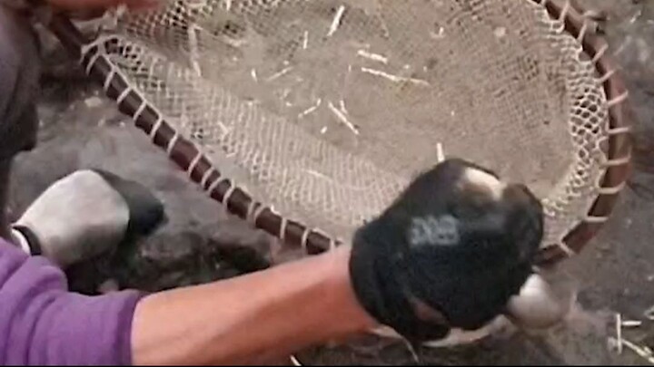 fishing technique in Nepal |