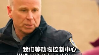 警察在沙滩上没收了一只狗，没想到....