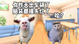 【猫meme】高考前1个月出车祸失忆 最终考上985