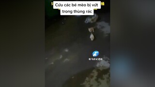 Giải cứu các bé mèo bị buộc trong bao vứt vào thùng rác mèo cute foryou