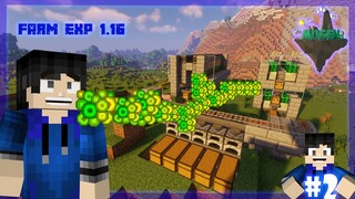 Membuat Exp Farm Tanpa Mob - MUGENCRAFT S3 #02