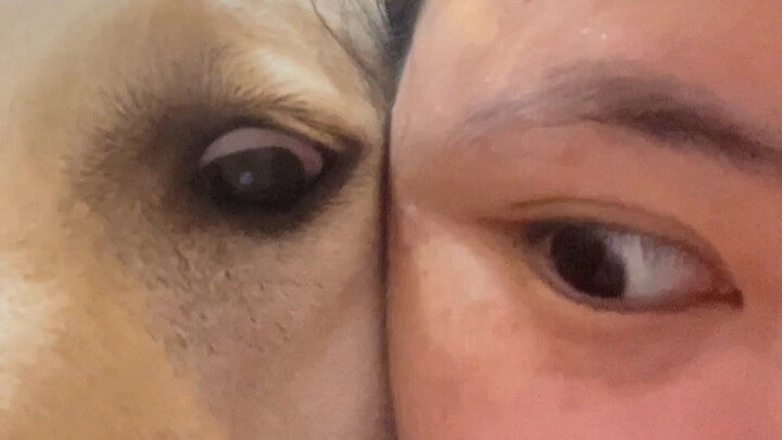 Kehidupan sehari-hari yang beragam