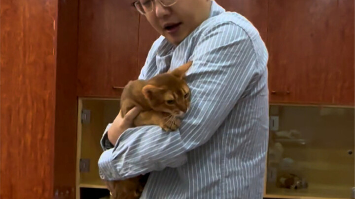 “With Sincere Devotion, Even Metal and Stone Yield”