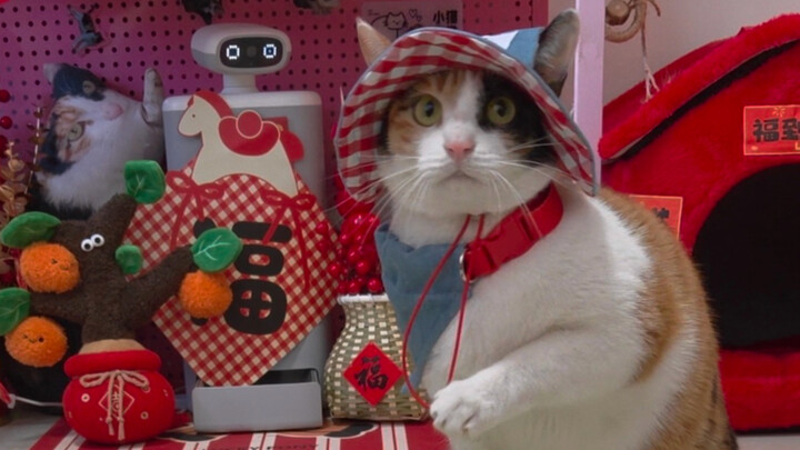 Mom’s on strike today—she won’t open the door!