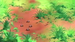 Bubu chacha tập 52 | tập cuối| lồng tiếng