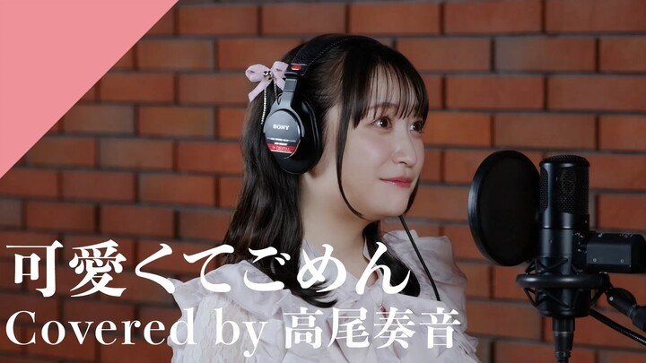 【Chinese-Japanese Lyrics/CrosSing】So Cute, I’m Really Sorry – Takao Kanon