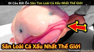 Buổi Đi Câu Bất Ổn Săn Tìm Loài Cá Biển Sâu Xấu Nhất Thế Giới || Review Giải Trí Đời Sống