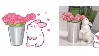 【Bunny and Rose】 Thật là một bức tranh lãng mạn ~